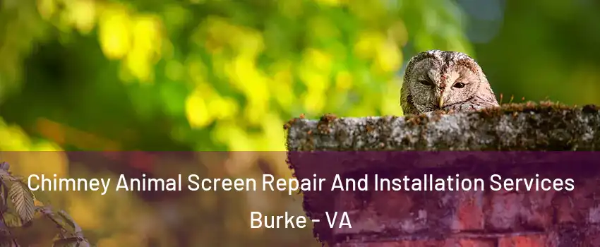  Chimney Animal Screen Repair And Installation Services Burke - VA