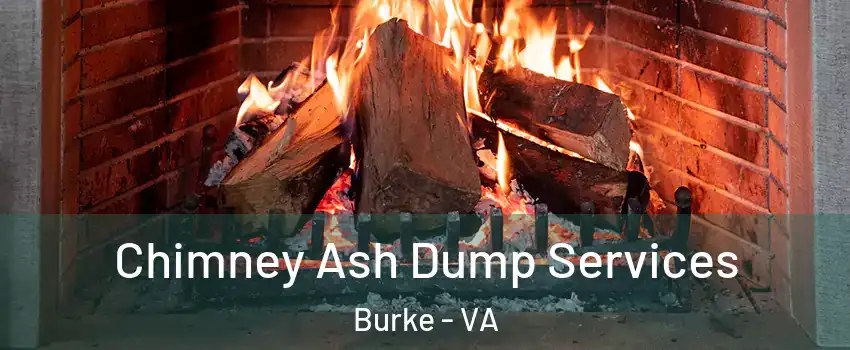  Chimney Ash Dump Services Burke - VA