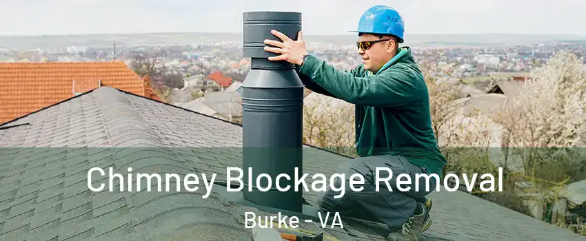  Chimney Blockage Removal Burke - VA