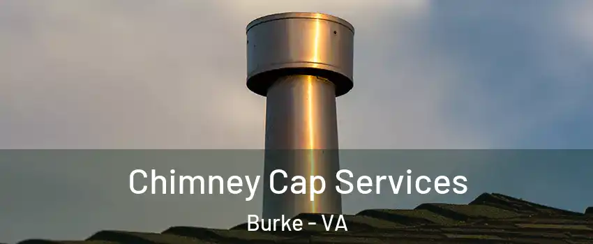  Chimney Cap Services Burke - VA