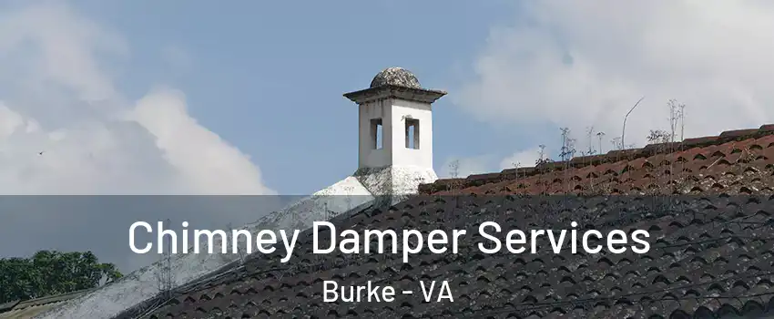  Chimney Damper Services Burke - VA