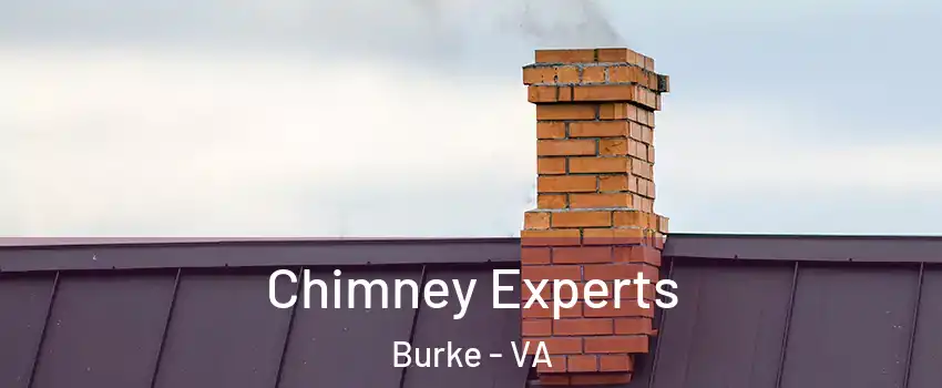  Chimney Experts Burke - VA