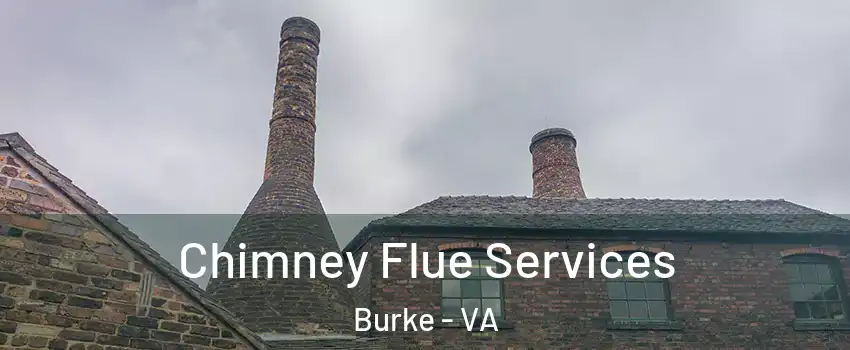  Chimney Flue Services Burke - VA