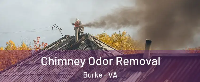  Chimney Odor Removal Burke - VA