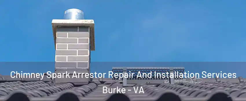  Chimney Spark Arrestor Repair And Installation Services Burke - VA