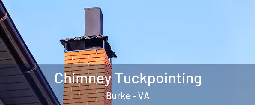  Chimney Tuckpointing Burke - VA