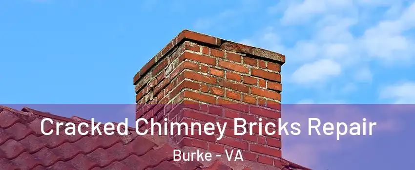 Cracked Chimney Bricks Repair Burke - VA