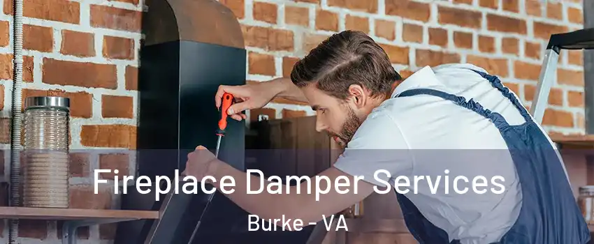  Fireplace Damper Services Burke - VA