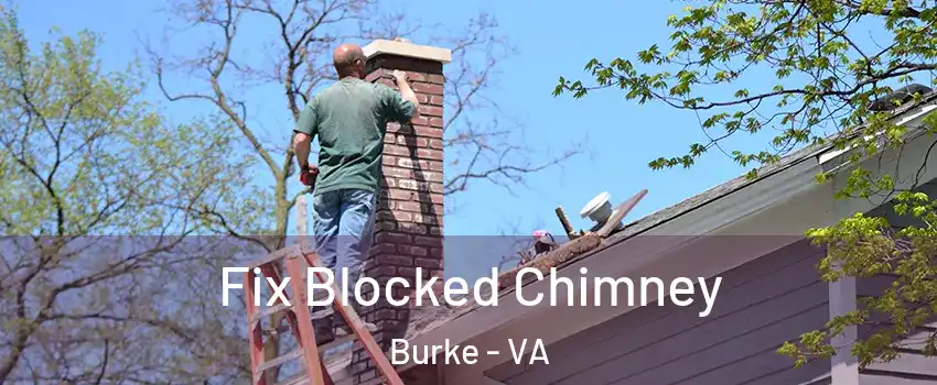  Fix Blocked Chimney Burke - VA