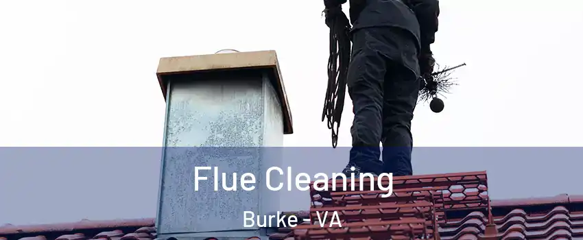  Flue Cleaning Burke - VA