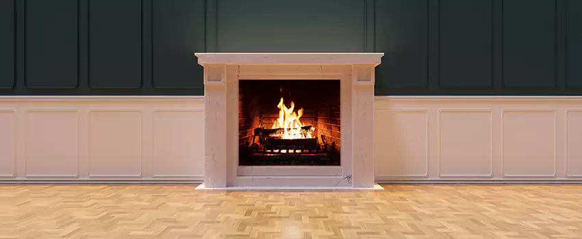 Napoleon Electric Fireplaces Inspection Service in Burke, Virginia