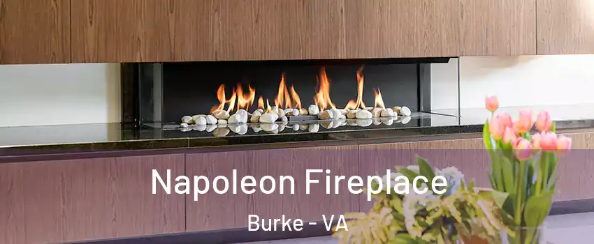  Napoleon Fireplace Burke - VA