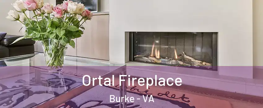  Ortal Fireplace Burke - VA